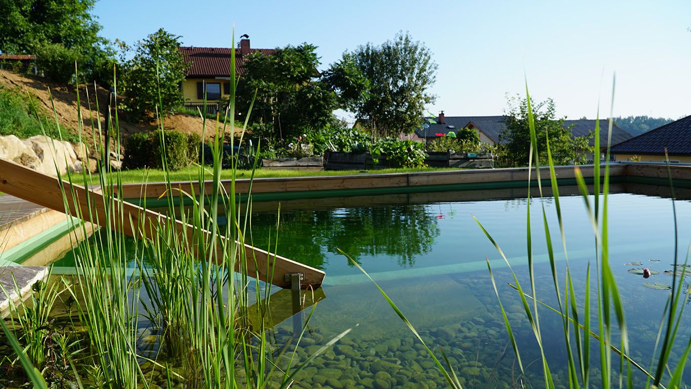 fürdőtó