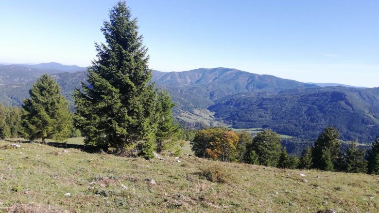 View of the mountain landscape, © Familie Gasteiner