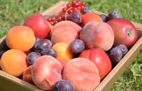 Fruit assortment, &copy; Familie Schreiber
