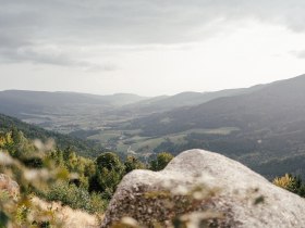 Wandern, Yspertal, Ysperklamm, Druidenweg, s&uuml;dliches Waldviertel, &copy; Nieder&ouml;sterreich Werbung/Melanie Kerzendorfer