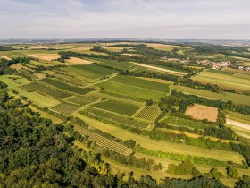 Grossweikersdorf, &copy; Donau Nieder&ouml;sterreich - Kamptal-Wagram-Tullner Donauraum