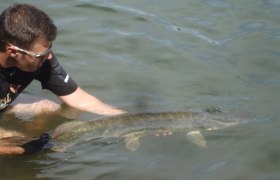 Catch&Relase Langau 2, © Hannes Messmann