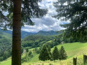 Kil&aacute;t&aacute;s Breitenstienből, &copy; Wiener Alpen in Nieder&ouml;sterreich