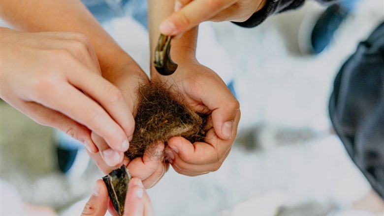 63_W4_Jugend_BärenwaldArbesbach_WEB_073A5703 ©️ Waldviertel Tourismus, Matthias Streibel, © Waldviertel Tourismus, Matthias Streibel