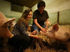 Kobichl, &copy; Mostviertel