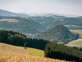 Hügelige Landschaft in Bad Schönau mit Feldern und Wäldern, © Wiener Alpen