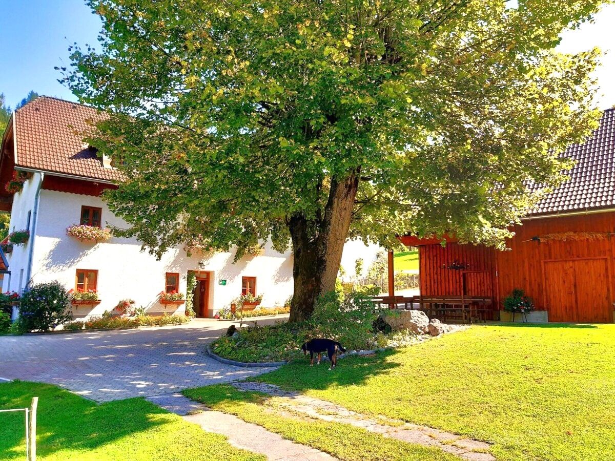 Üdülés a tanyán - Oberrehau