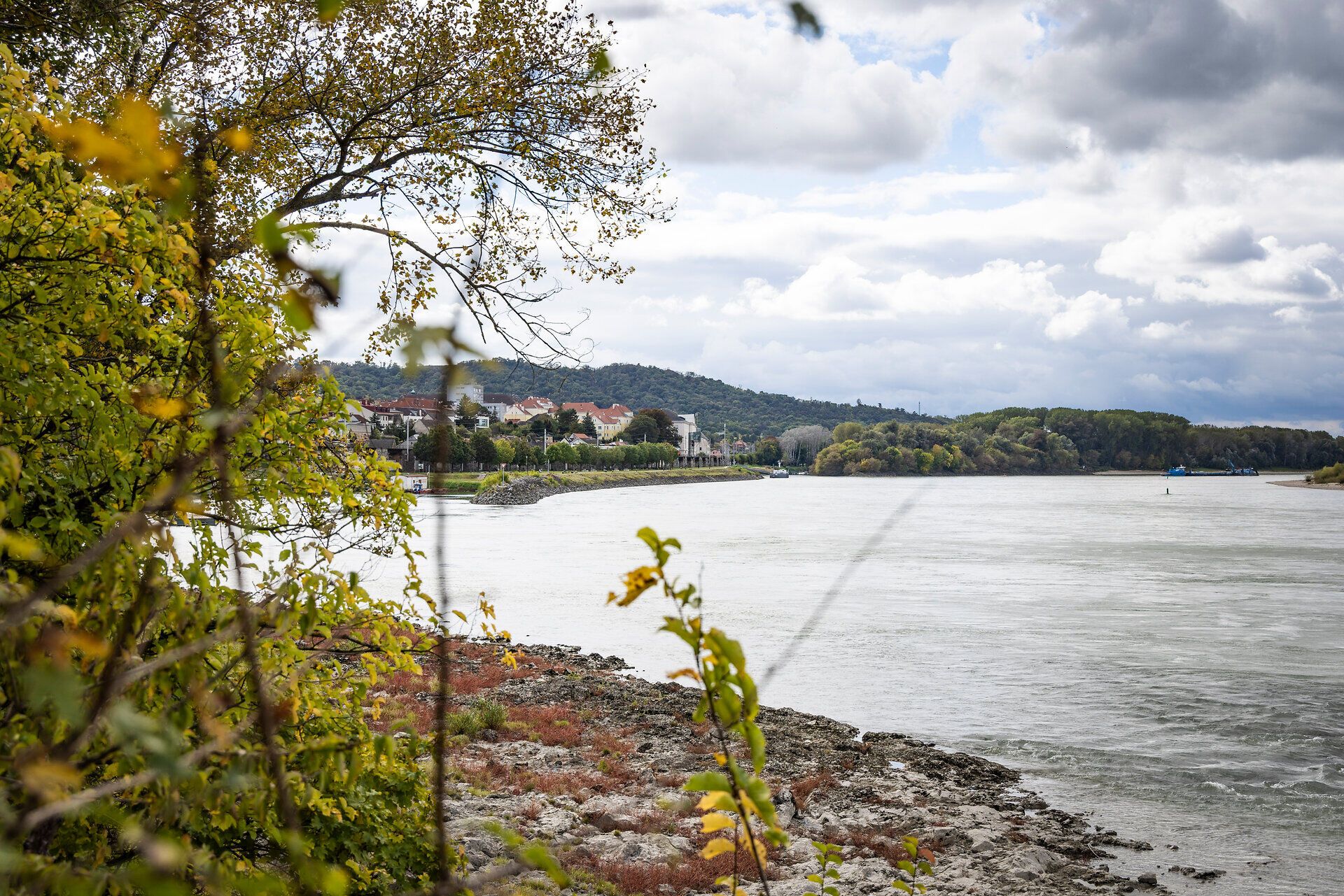 Duna-part Hainburg közelében, kilátással a házakra és a Duna árterére. 
