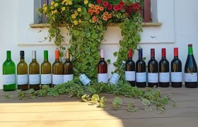 Wine bottles, &copy; Bio Weinbau Schlemmer