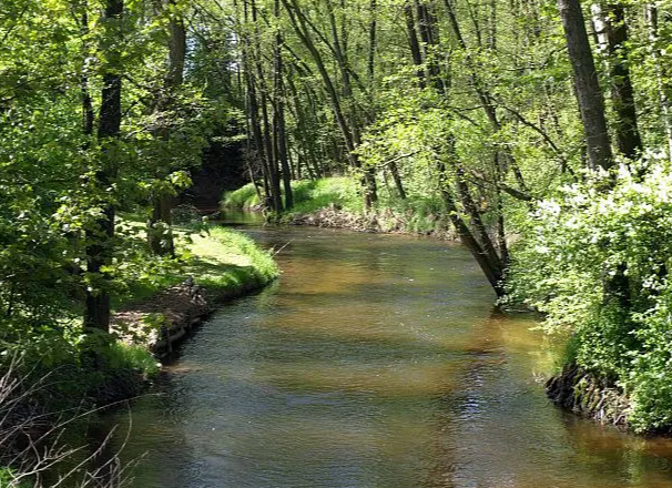 Fishing - Lainsitz - District II/1, &copy; Stadtgemeinde Gm&uuml;nd