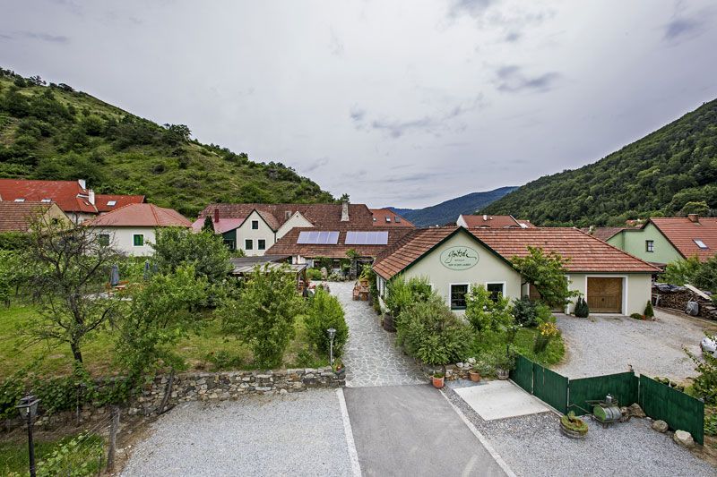 Gritsch pincészet zöld, dombos tájban.