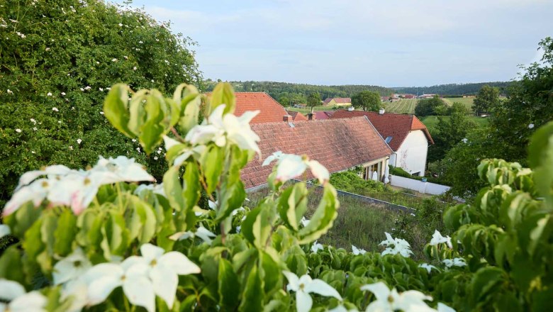 050-2025-0604_IMG_2720_RupertPessl_web, &copy; Rupert Pessl