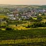Wine village Herrnbaumgarten, &copy; Robert Herbst