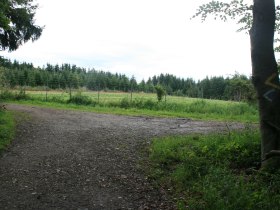 Lichtung bei Winten, &copy; Wienerwald