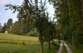 Ins Gf&ouml;hleramt, &copy; Stadtgemeinde Gf&ouml;hl