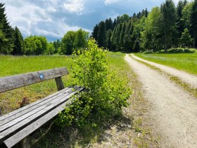 &Uacute;tvonal Weitra k&ouml;zel&eacute;ben, &copy; Dr. Markus Peham