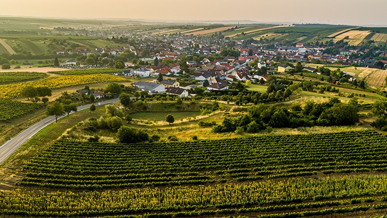 Wine village Herrnbaumgarten, © Robert Herbst