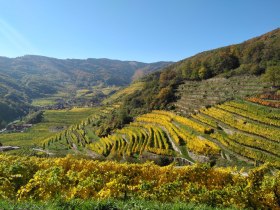 Aussicht vom Spitzer Panoramaweg, &copy; Donau N&Ouml; Tourismus/HS
