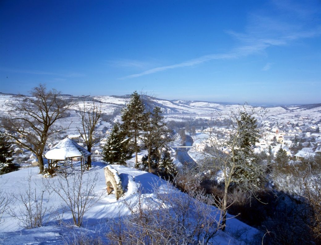 Schonenburg romok - Schlossbergweg 