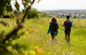 Stratzing l&aacute;tk&eacute;pe, &copy; Wachau-Nibelungengau-Kremstal
