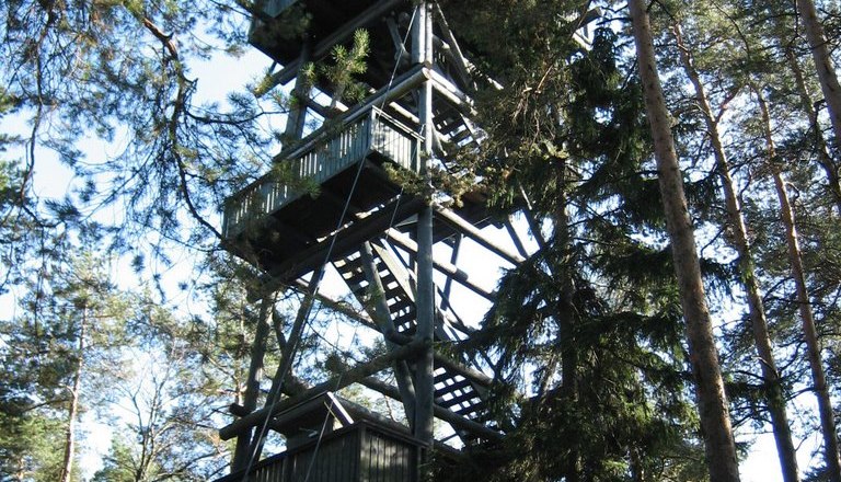 Nordwald tower on the Schwarzenberg, &copy; Naturpark Nordwald