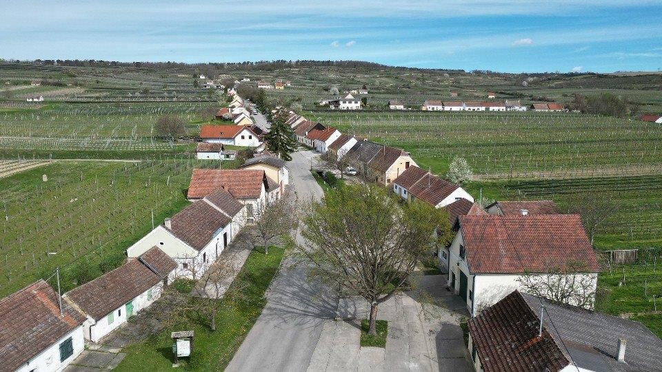 Panoráma kilátás a Feuersbrunn pincesorra, mezőkre és szőlőültetvényekre,