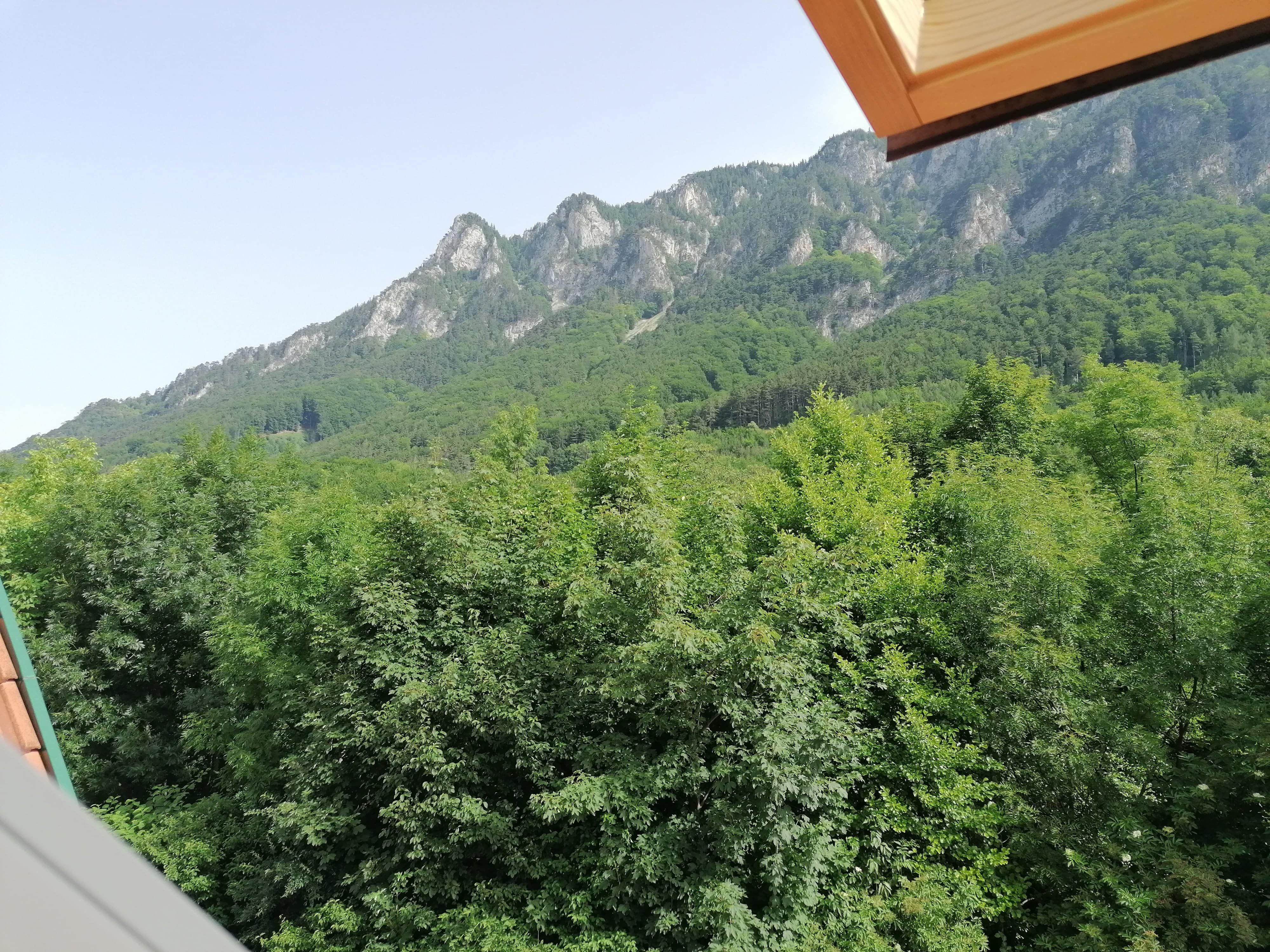 Kilátás egy ablakból egy erdős hegyre és az előtérben lévő sűrű erdőre.