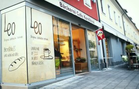 Leo Horn, &copy; www.meinleo.com