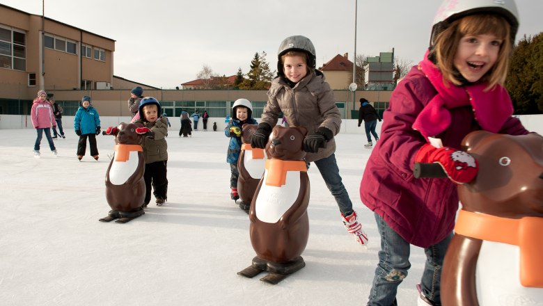Artificial ice rink Matzen, © Barbara P. Photography