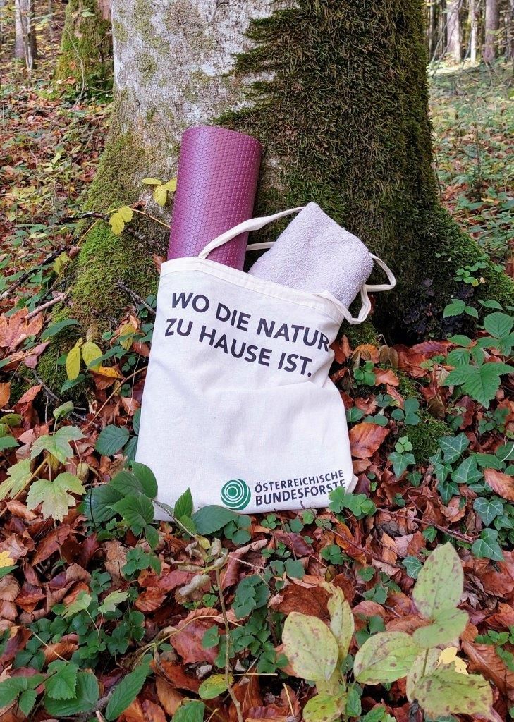 Erdei fürdés
