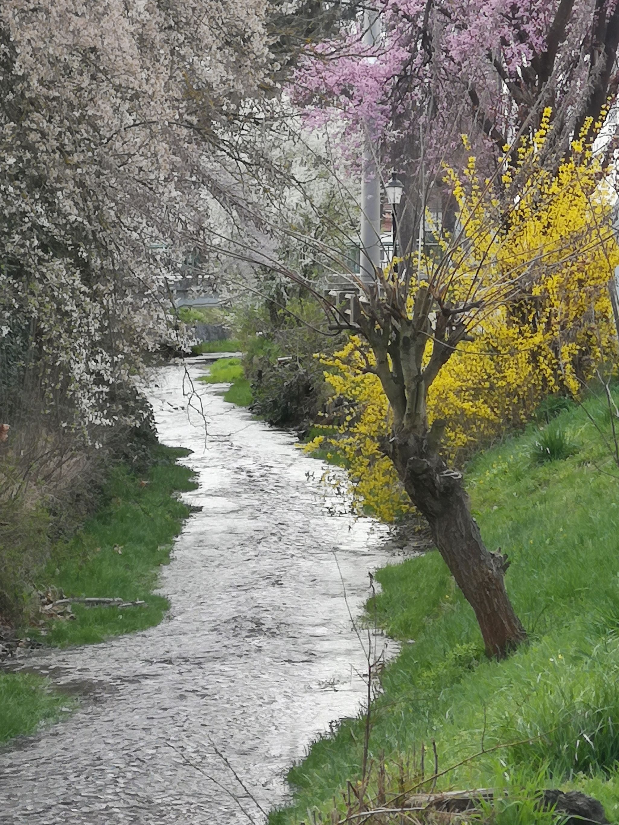 A Gschinzbachnál