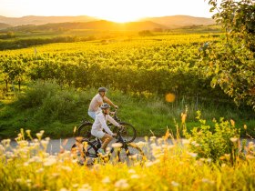 Radfahren im Kamptal, &copy; POV Robert Herbst