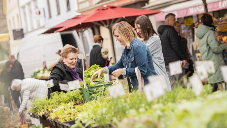 Waidhofen an der Ybbs weekly market, &copy; Dominik Stixenberger