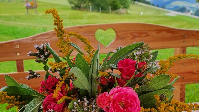 Kil&aacute;t&aacute;s a h&aacute;z bankj&aacute;b&oacute;l, &copy; Melanie Schweighuber