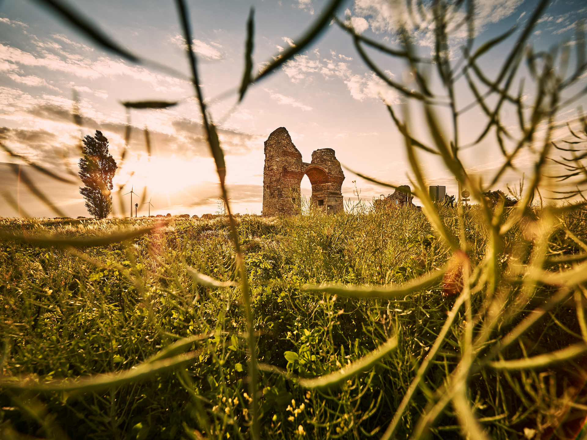 Die sanften Hügel umrahmen die beeindruckenden Ruinen, die im warmen Licht der Abendsonne erstrahlen. Ein Gefühl von Geschichte und Mystik durchdringt die Luft, während die Wiesen mit bunten Wildblumen blühen und die Natur in voller Pracht erblüht.