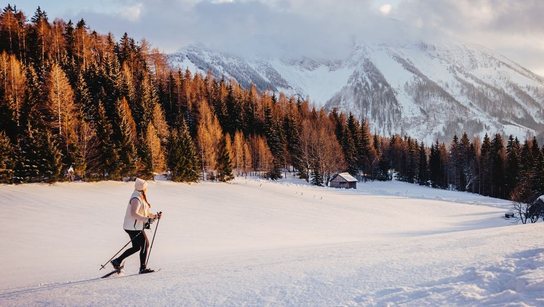 Nestelberg 17 (c)Marlene Schindlegger (35), © Sabine Wieser