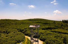 SS_Kaiser-Jubiläums-Warte on the Eschenkogel, © Sascha Schernthaner_Wienerwald Tourismus