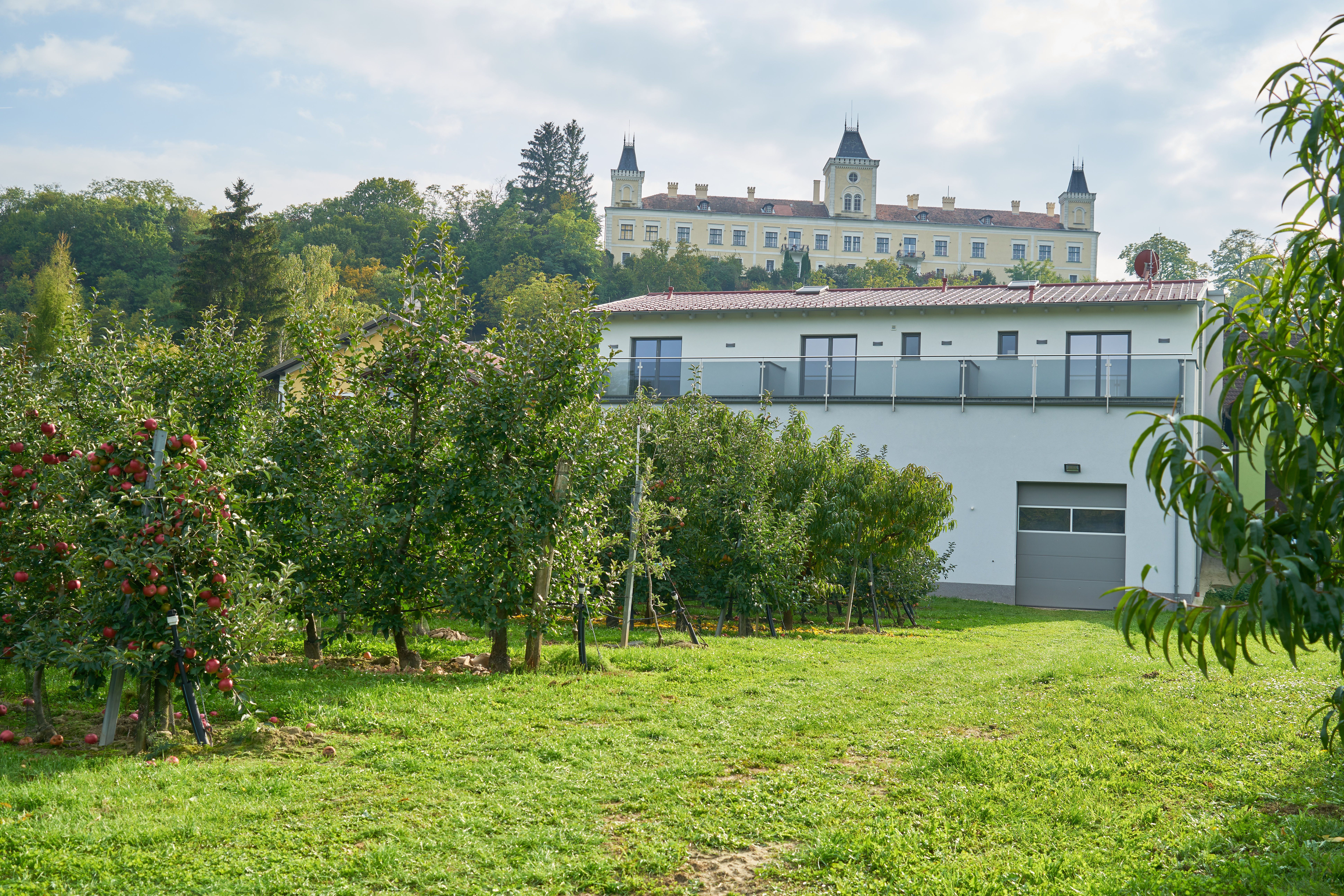 A háttérben a Wolfsberg-kastély, előtérben egy gyümölcsöskert.
