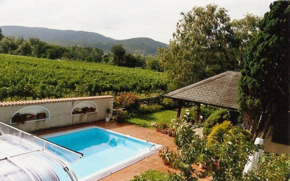 Kert medencével, pavilonnal és szőlőültetvényekkel a háttérben.