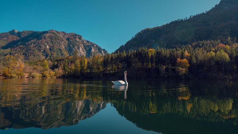 With a view of the only natural lake in Lower Austria, © Schlosstaverne Lunz/Martin Stellnberger