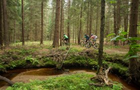 MTB Waldviertel, © © Waldviertel Tourismus, Erwin Haiden, nyx.at