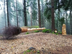 Hexenbesen, &copy; Renate Klein