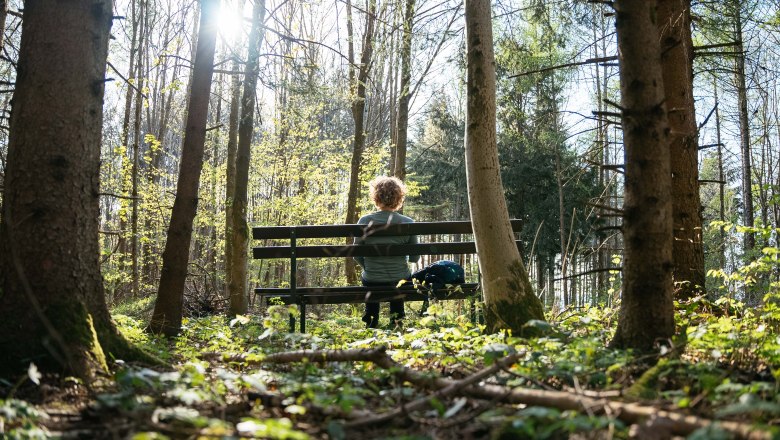 A tudatoss&aacute;g &ouml;sv&eacute;ny&eacute;n, &copy; Daniel Gollner