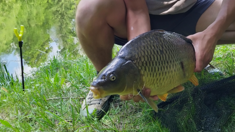 IMG_20200613_160740_2~2, &copy; Gemeinde P&ouml;lla