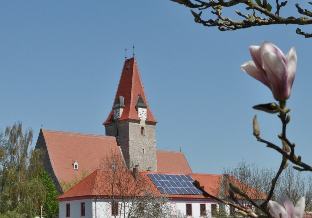 Piros tetős templom, óratorony, kék ég, előtérben magnóliavirág.