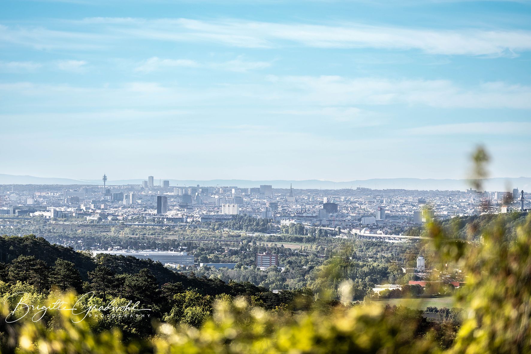 Panorámakép egy városról, sok épülettel és egy tévétoronnyal a háttérben, az előtérben zöld dombokkal és fákkal körülvéve.