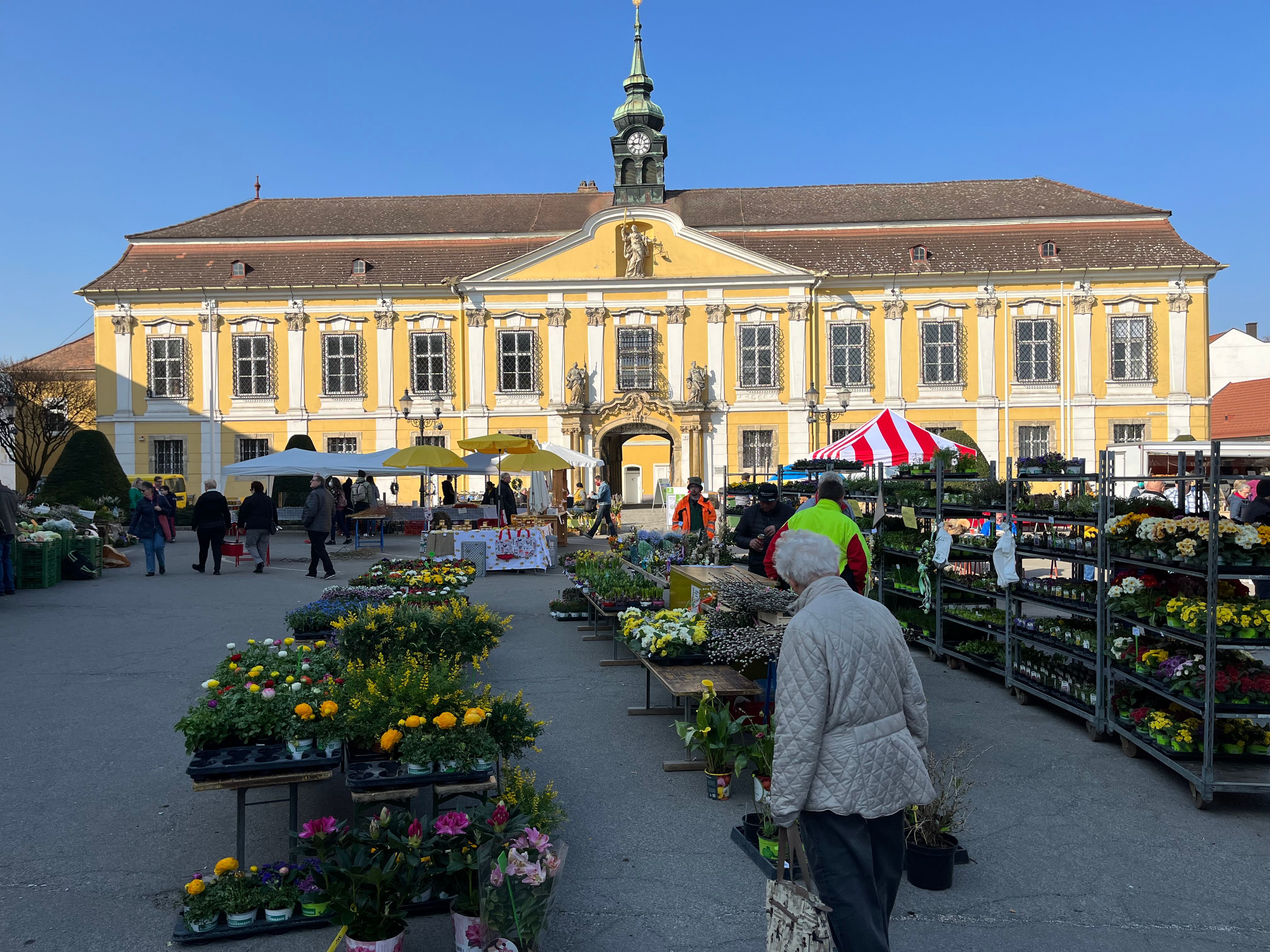 Heti piac Stockerau-ban virágos standokkal egy sárga barokk épület előtt.