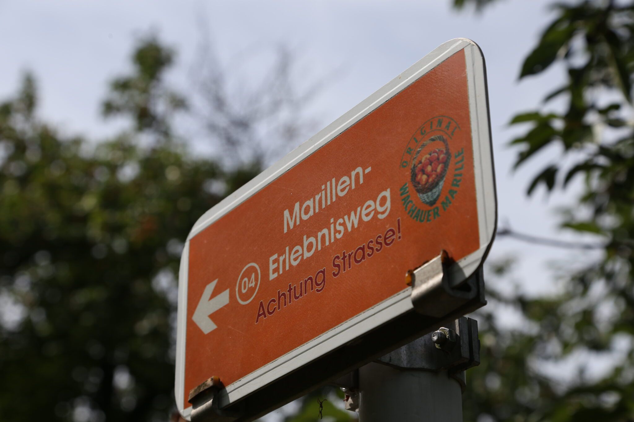 Narancssárga tábla "Marillen-Erlebnisweg" felirattal és balra mutató nyíllal. Egy útra figyelmeztet.