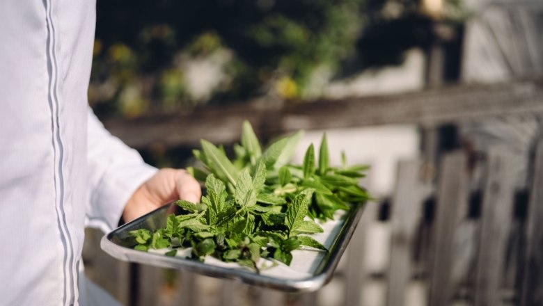 0060_Moststraße_Bachlerhof_20250922-4973-001, © Moststraße, dochbodnliacht