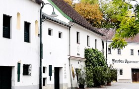 Wine cellar in the Gstetten, &copy; Weinstra&szlig;e Veltlinerland